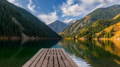 Photo of Путешествия и открытия