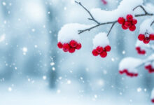 Photo of Культурные события года