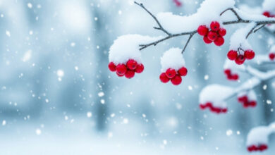 Photo of Культурные события года