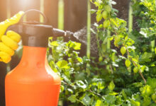 Photo of Российские ученые открыли новое