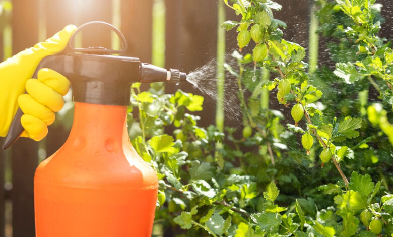 Photo of Российские ученые открыли новое